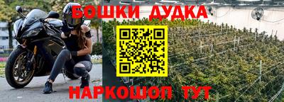 шишки Конаково
