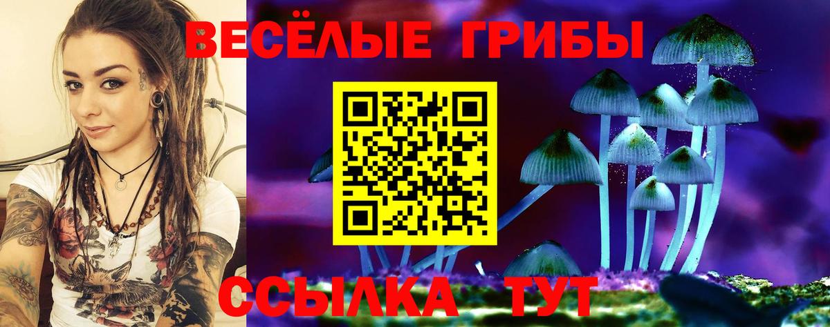 Кимры  наркота  Вход с VPN  Галлюциногенные грибы мицелий 